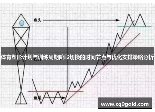 体育塑形计划与训练周期阶段切换的时间节点与优化安排策略分析